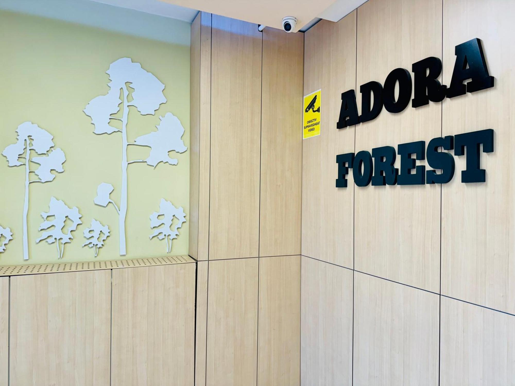 Joy City Stay Forest 84 ティミショアラ エクステリア 写真